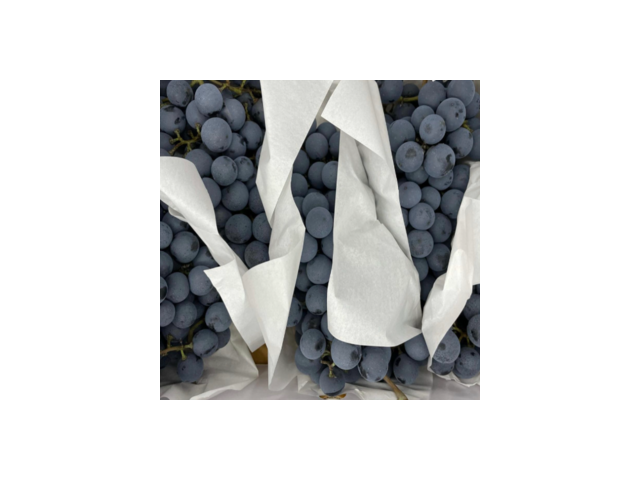 모동포도 실용적이면서 세련된 제품 추천