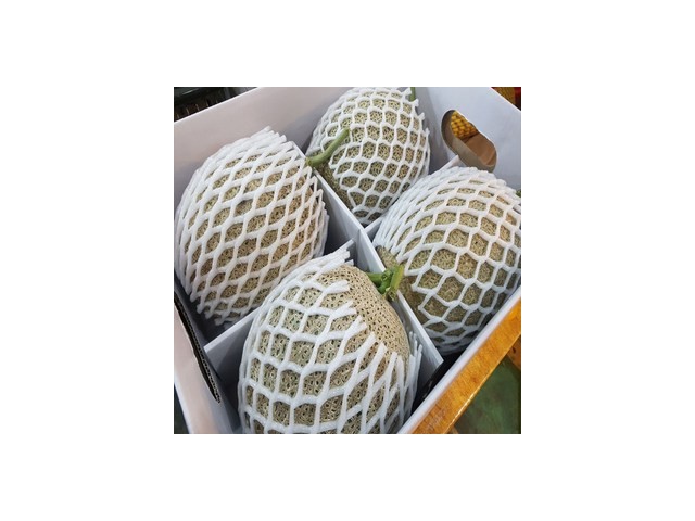 멜론7kg 추천 TOP10 가성비 좋은 제품