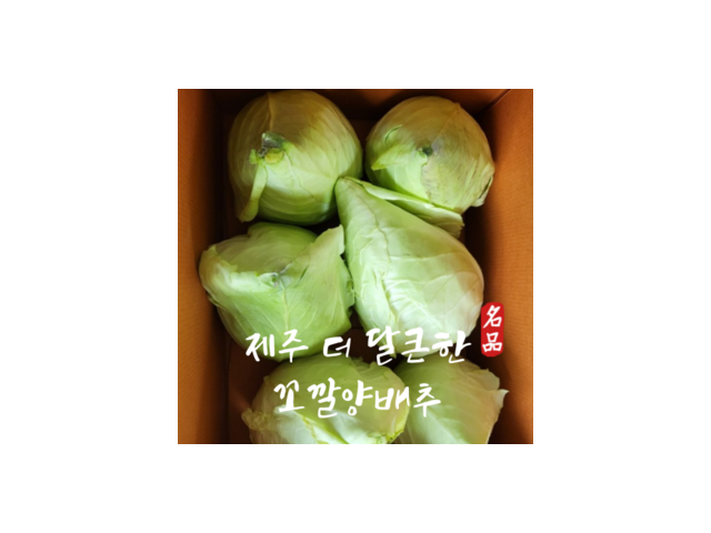 꼬깔양배추제철 | 판매 기록 신화를 세운 베스트셀러 제품