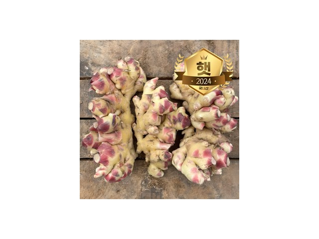 국내산햇생강 추천 및 가격 비교 장단점 정리