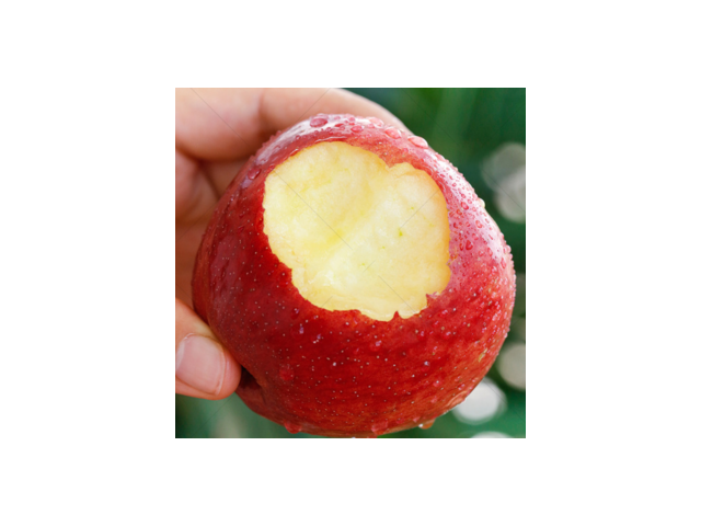 특등품청송사과 | 후기가 증명하는 베스트 제품 랭킹